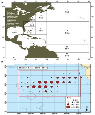 Sea Turtle Bycatch Mitigation in U.S. Longline Fisheries